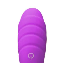 10 Speeds Purple Rechargeable Remote Control Vibrating Egg