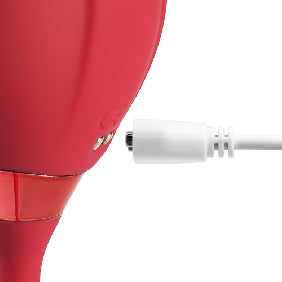 10-Speed Red Color Silicone Rose Sucking Vibrator with Vibrating Egg